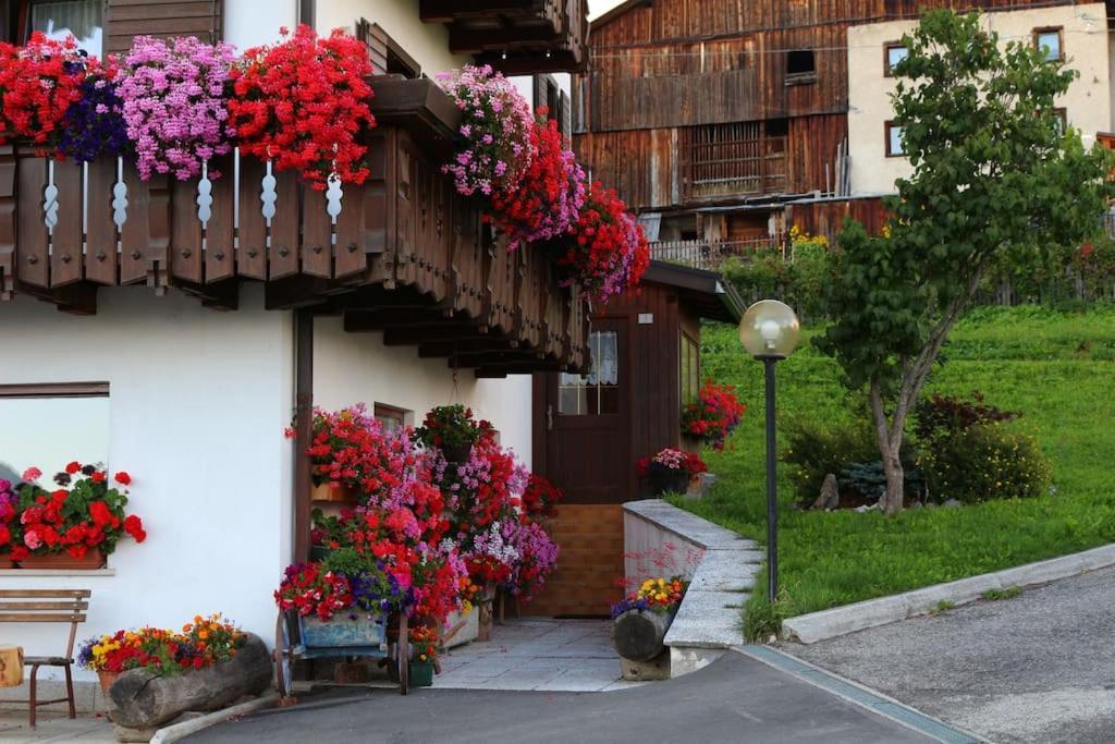 Piccola Suite Sul Civetta Colle Santa Lucia Exteriér fotografie
